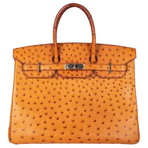 hermes ostrich skin